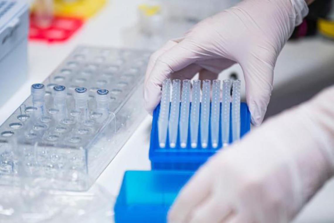 Vaccino, covid e fertilità. Lo studio: l’infezione riduce produzione spermatozoi