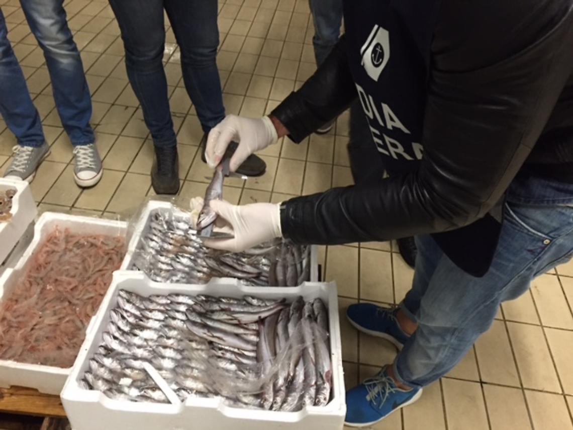 Pesca di frodo <br>e prodotti ittici fuorilegge, multe <br>e sequestri a Portici