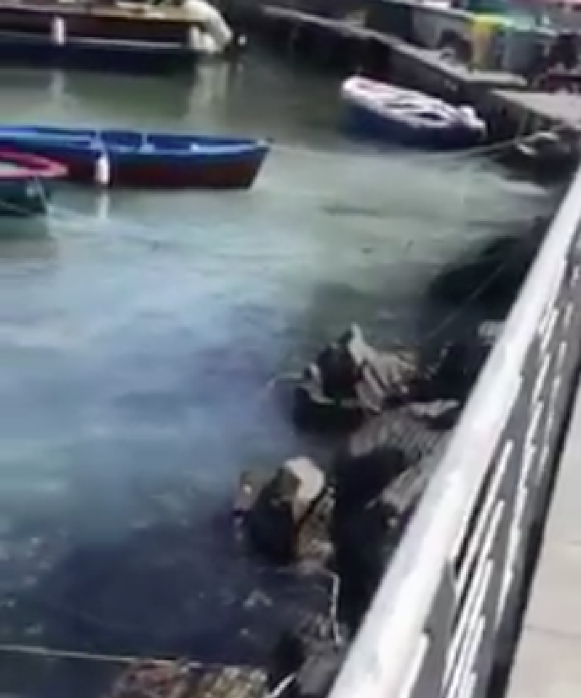 Acqua bianca a Riva Fiorita, allarme sversamenti a Posillipo