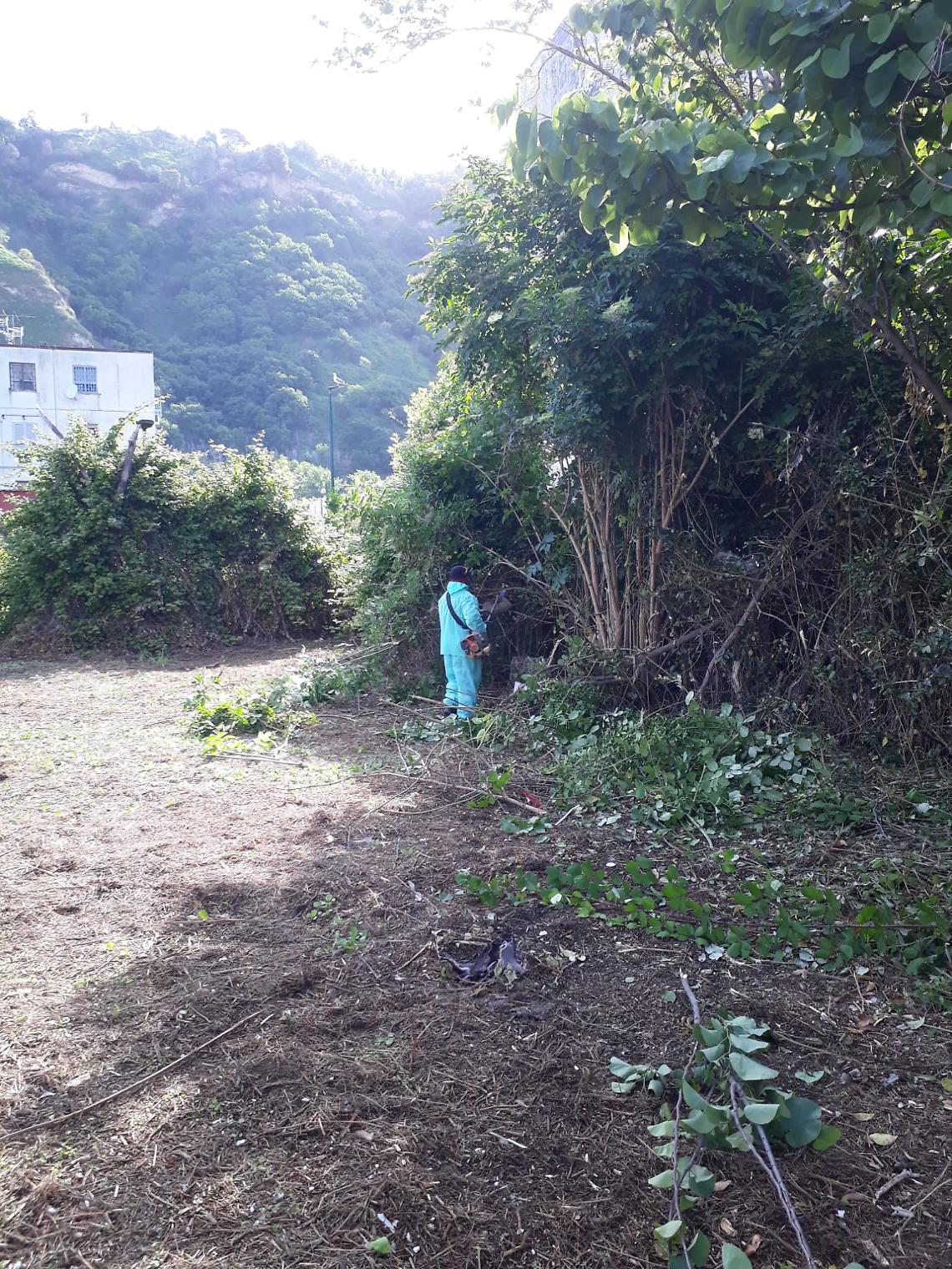 Pianura, via ai lavori di manutenzione del verde in via Monet