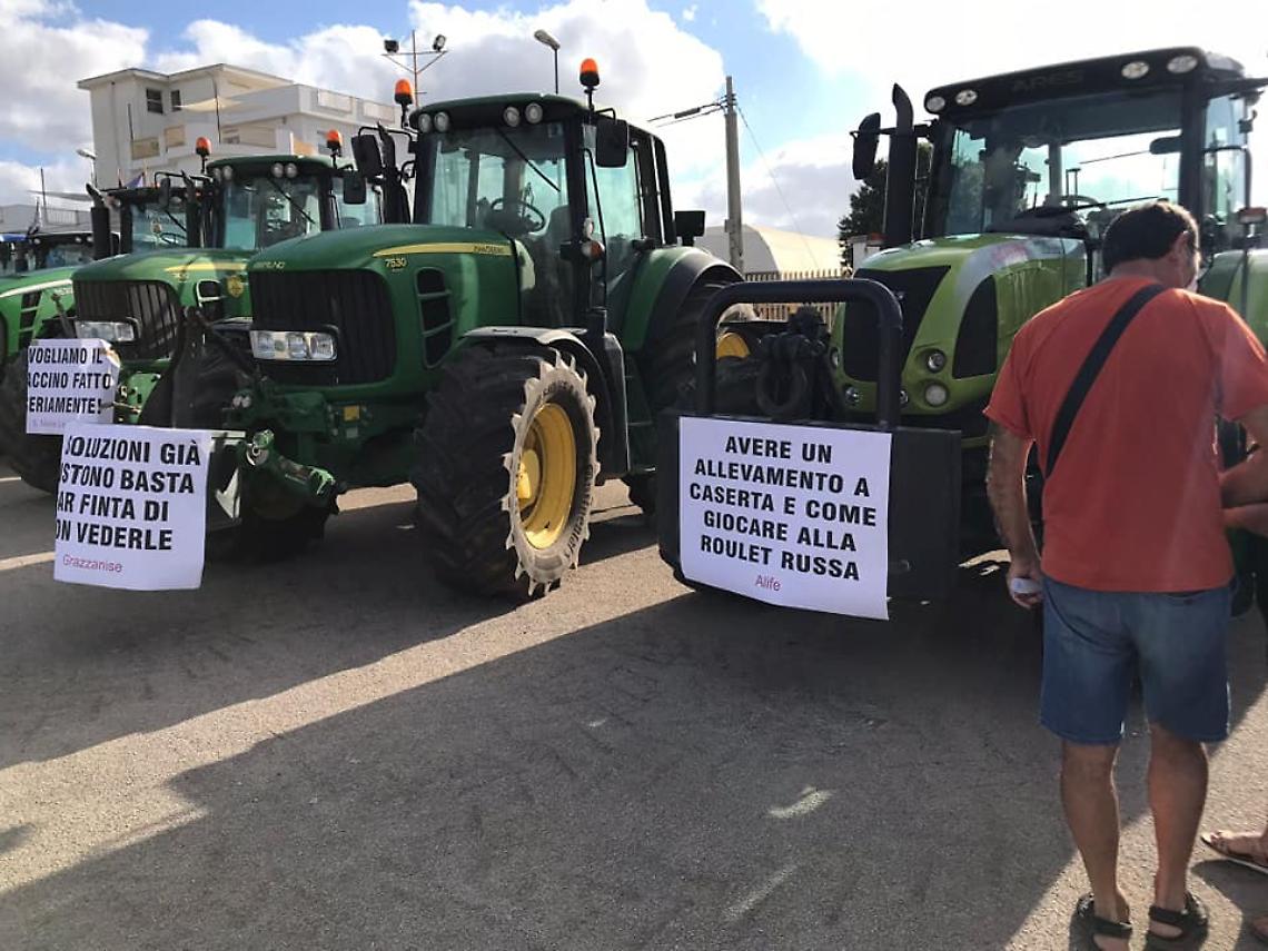 Brucellosi, allevatori in corteo fino a Santa Lucia