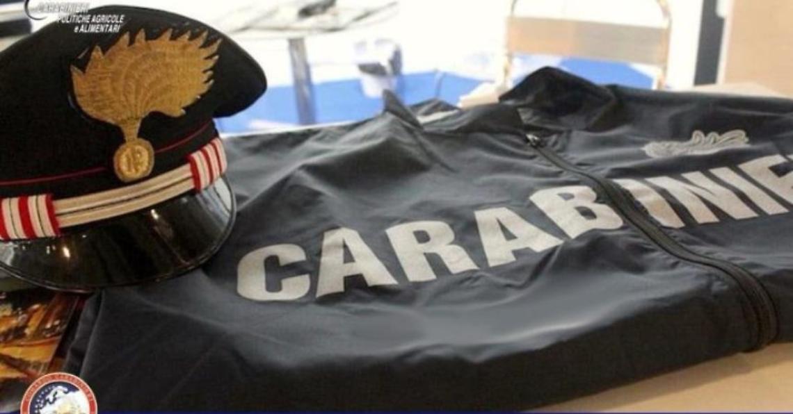 Cereali contraffatti, maxisequestro tra l'Irpinia e il Napoletano