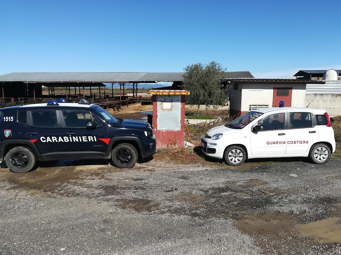 Scarichi tossici, sequestrato allevamento di bufale