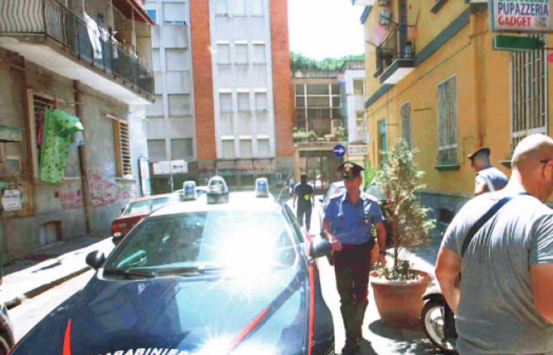 Delitto Palma, movente privato