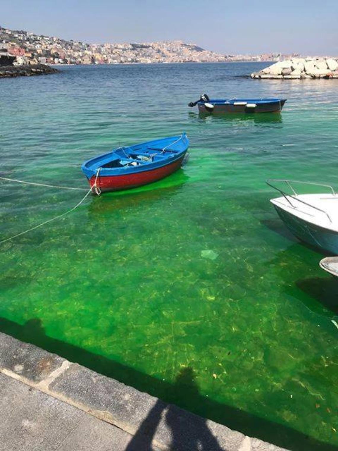 Posillipo, l'acqua diventa verde. «Sversamenti tossici»