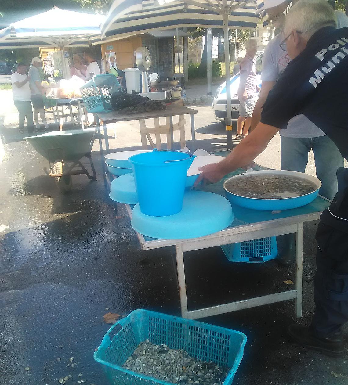 Pozzuoli, frutti di mare venduti abusivamente: scatta il sequestro