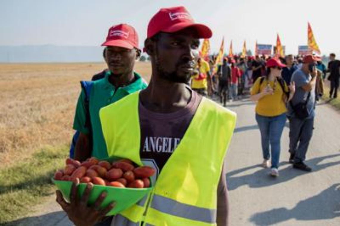 Truffa sugli immigrati, 21 imputati patteggiano