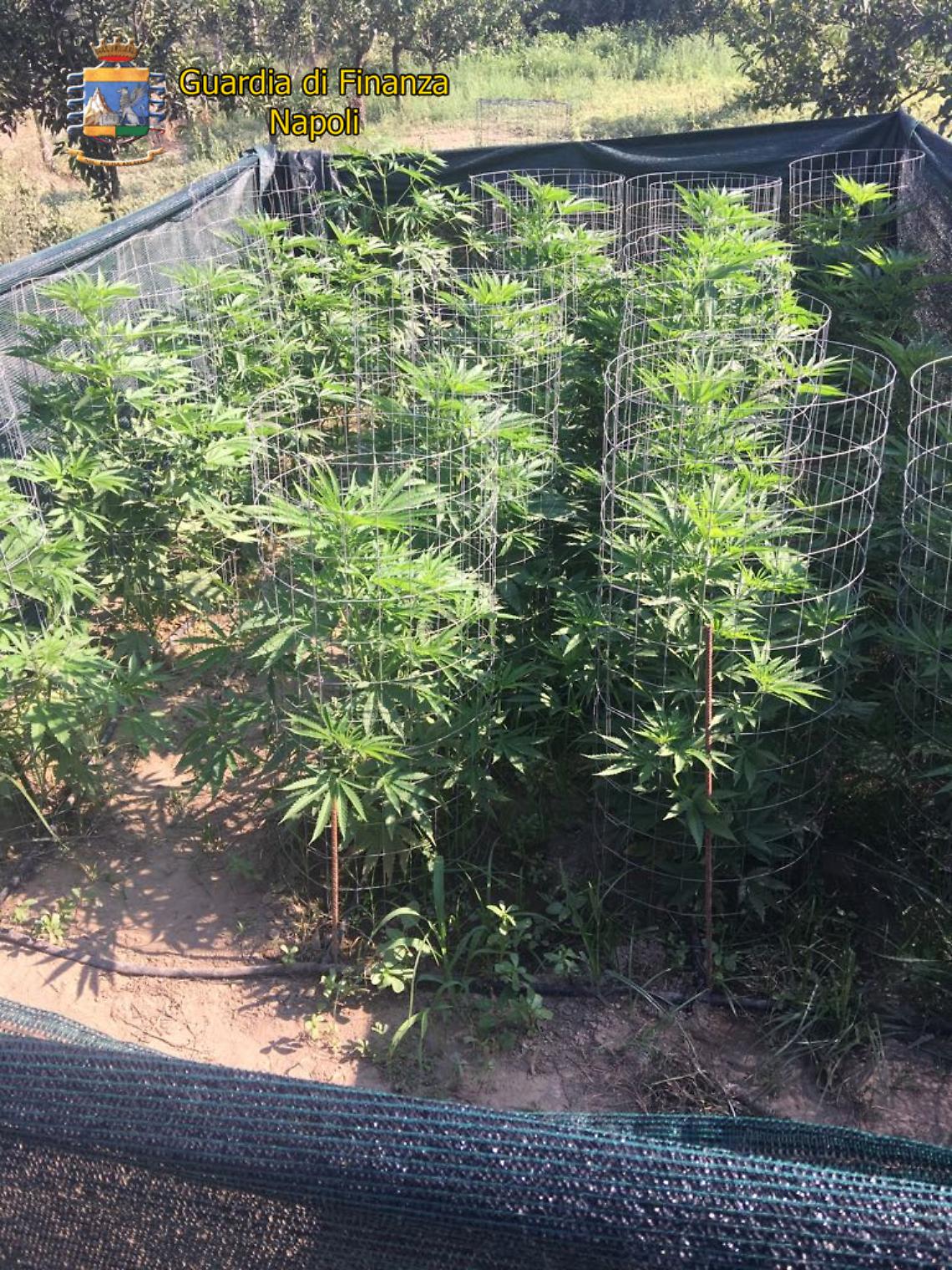 Operazione antidroga a Villaricca: un arresto