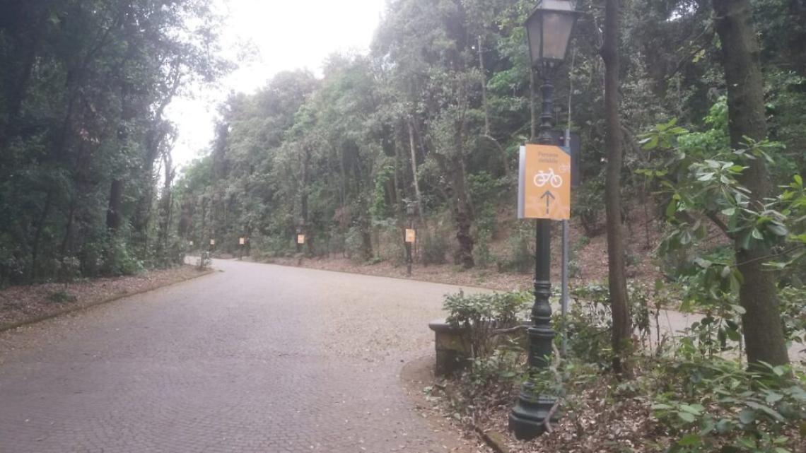 Fase 2, troppe infrazioni: richiude il Bosco di Capodimonte