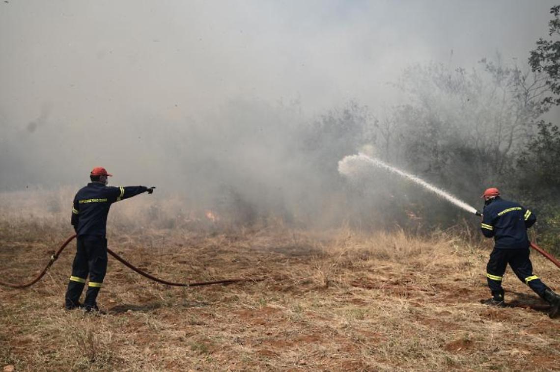 Incendi Grecia, trovati corpi carbonizzati di 18 migranti