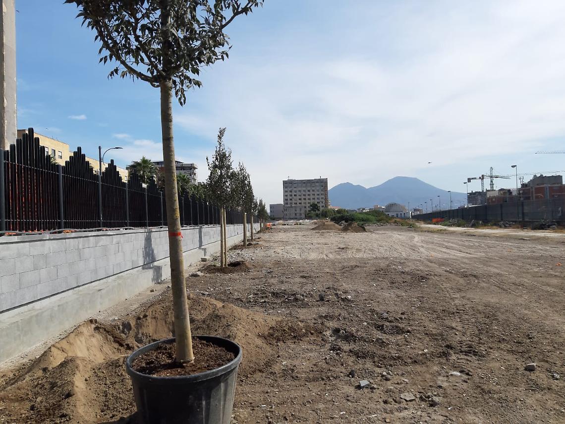 Napoli, piantati i primi alberi nel Parco della Marinella