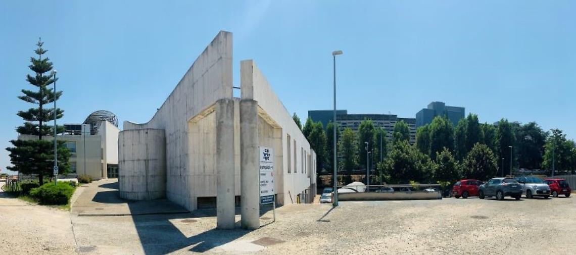 Sindrome Infiammatoria post-Covid: la causa è genetica