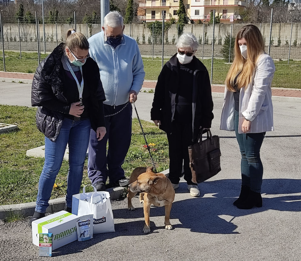 Tony trova casa, prima adozione al canile comunale