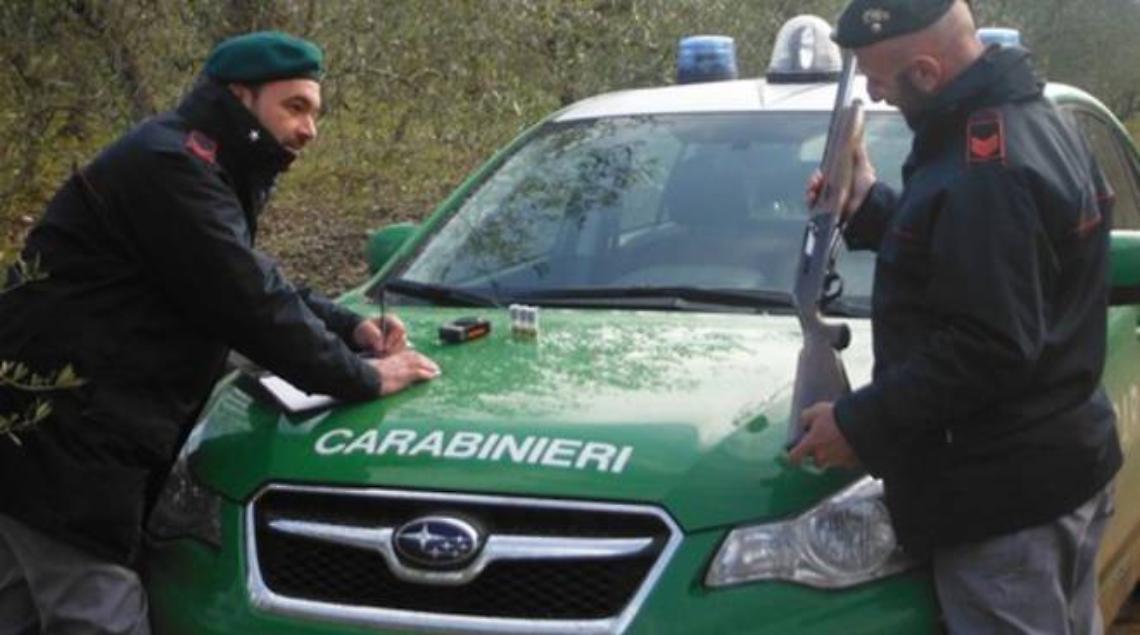 Volpi, cinghiali e volatili chiusi in gabbia, 5 denunciati