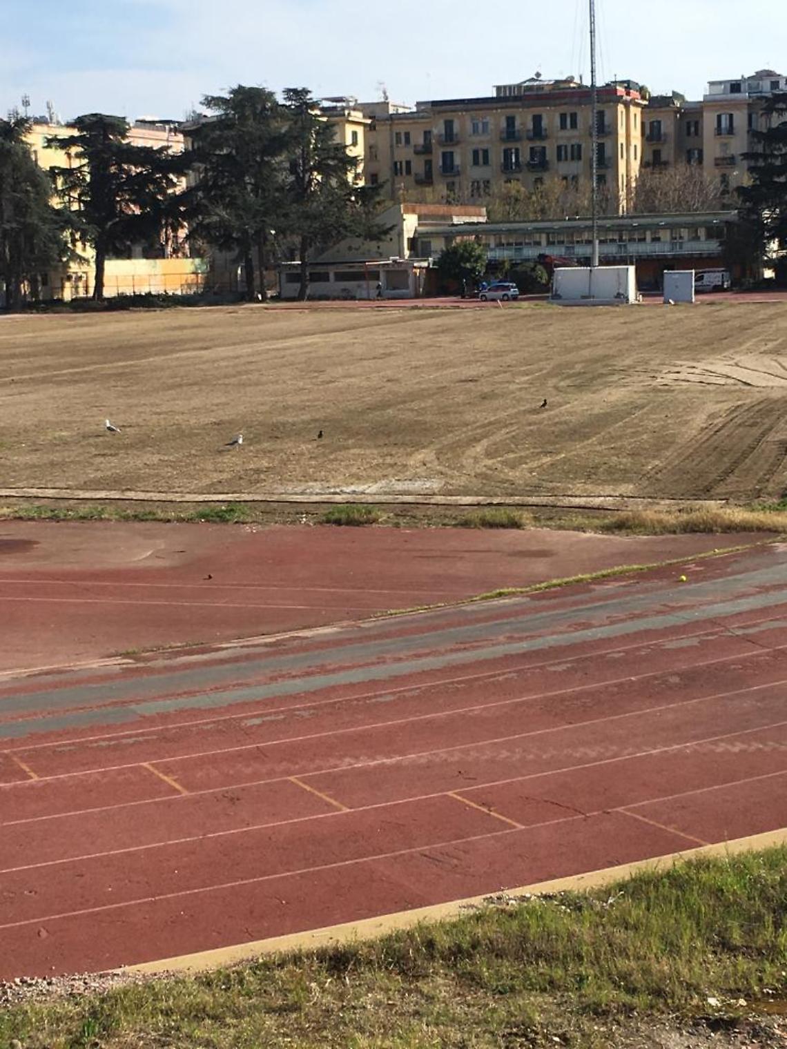 «Stadio Collana, avviati i lavori: campo ripulito dalle erbacce»