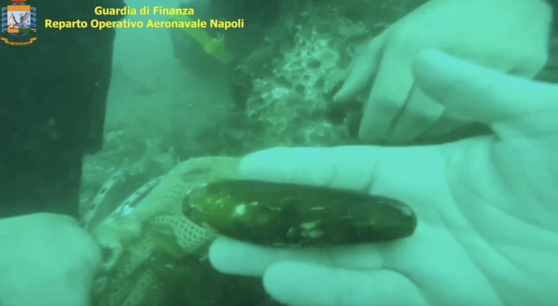 Faraglioni di Capri devastati per raccogliere datteri, 19 misure cautelari
