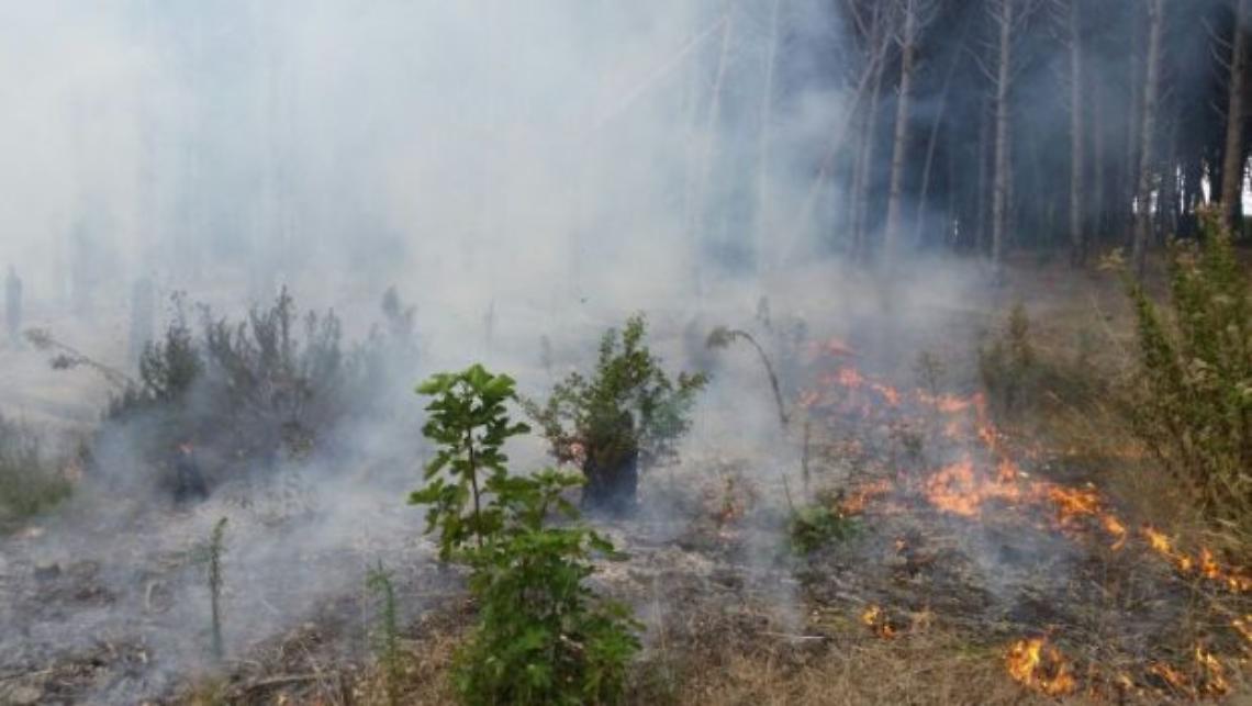 Incendi, paura a Campagna e Sicignano