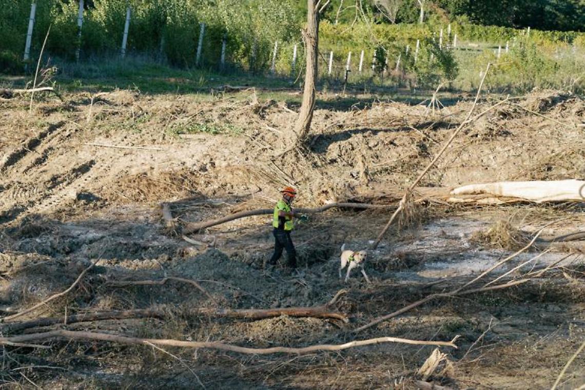 Alluvione nelle Marche, ritrovato il corpo del bimbo disperso
