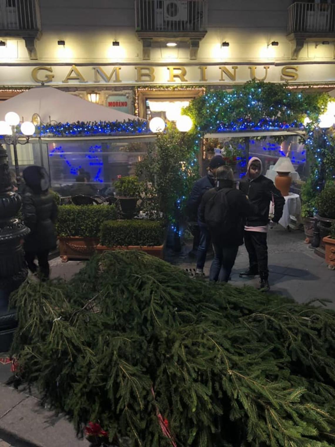 Reinstallato l'albero nella galleria Umberto