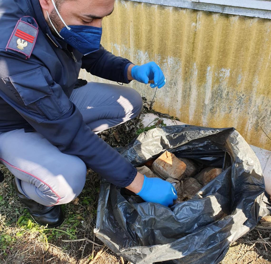 Pompei: trovati blocchi di hashish per 23 chili in un terreno incolto