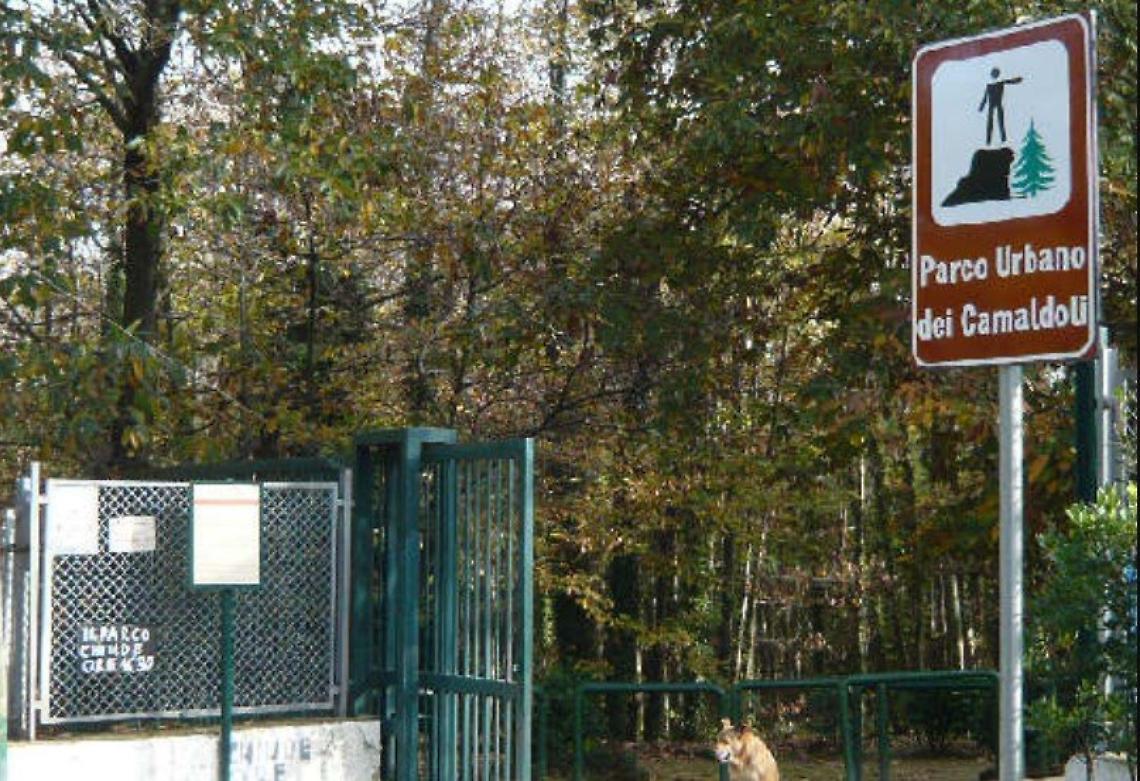 A Napoli appena 37 metri quadri di “verde” ad abitante