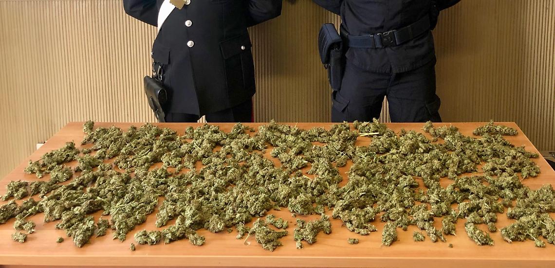 Oltre un chilo di marijuana in un container: 27enne incastrato da cane antidroga