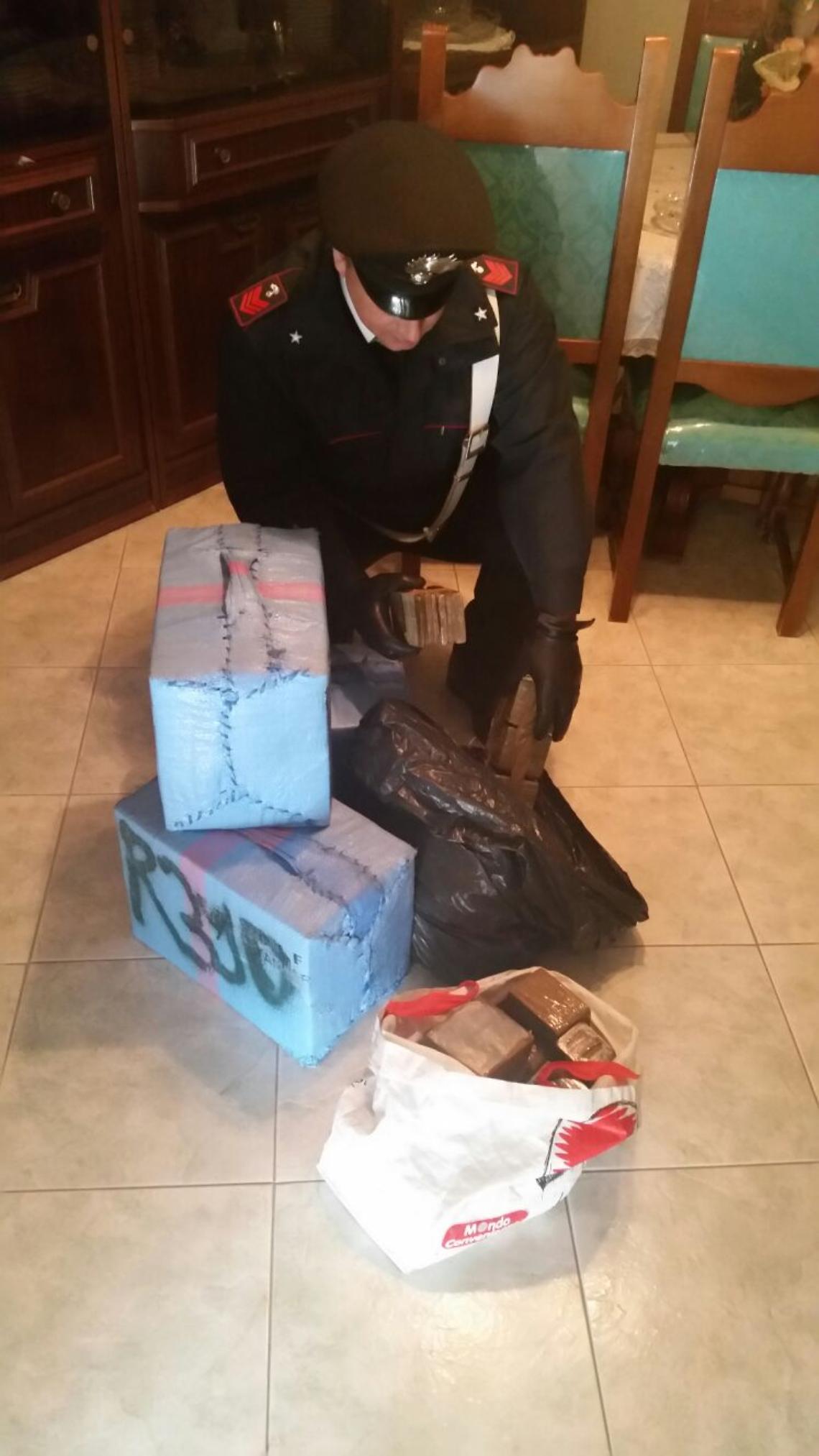 Marano, sotto l'albero di Natale c'erano 2 quintali di hashish