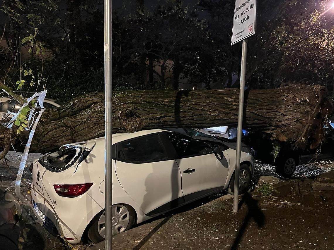 Cade un albero, tragedia sfiorata al Vomero