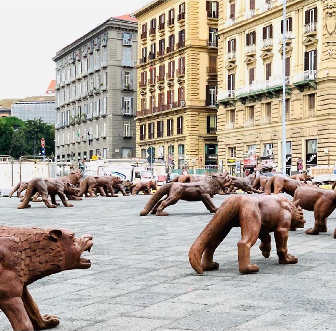 Vandalizzati i lupi a piazza Municipio