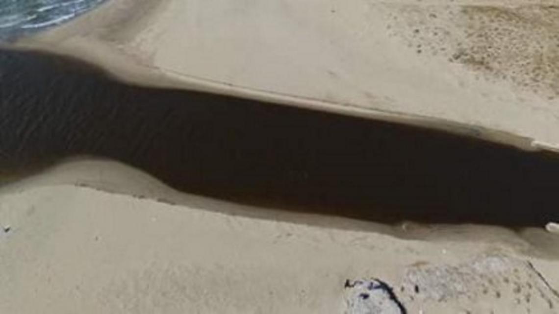 Rischio disastro ambientale, il Lago Patria diventa nero