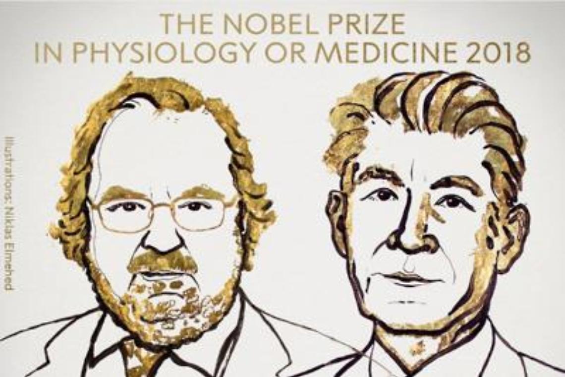 Nobel medicina a Allison e Honjo per terapie anticancro