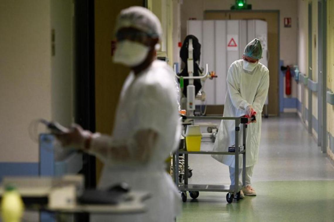 Vaiolo scimmie, in Francia vaccino a contatti a rischio