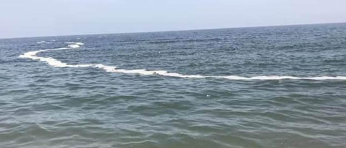 Schiuma in mare a Baia Domizia, Arpac: fioritura di microalghe