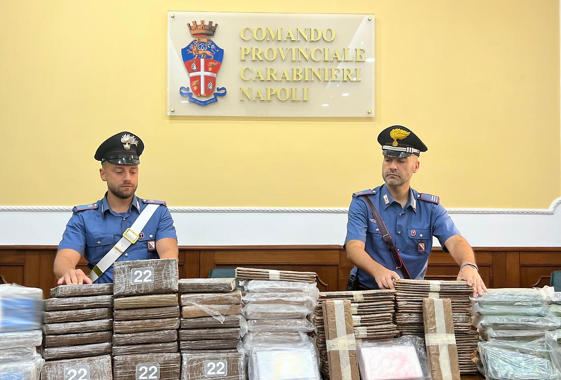 Cocaina per 8 milioni di euro in lavastoviglie, un arresto