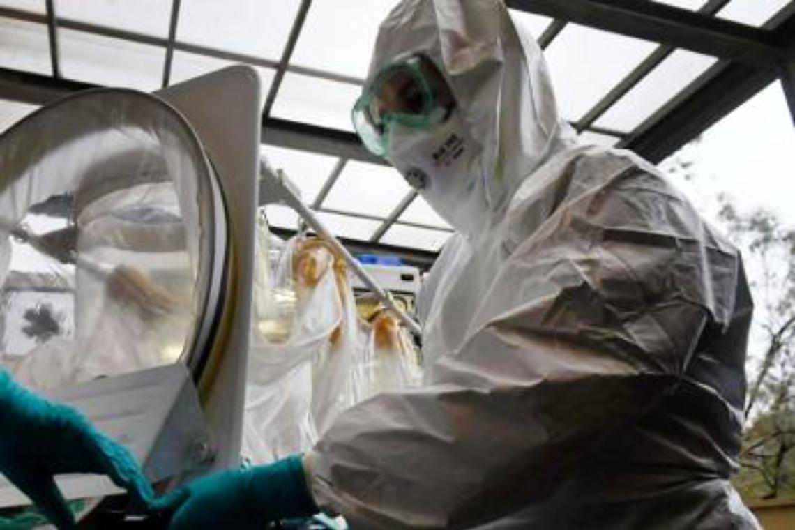 Coronavirus, «paziente 1 rifiutò ricovero prudenziale»