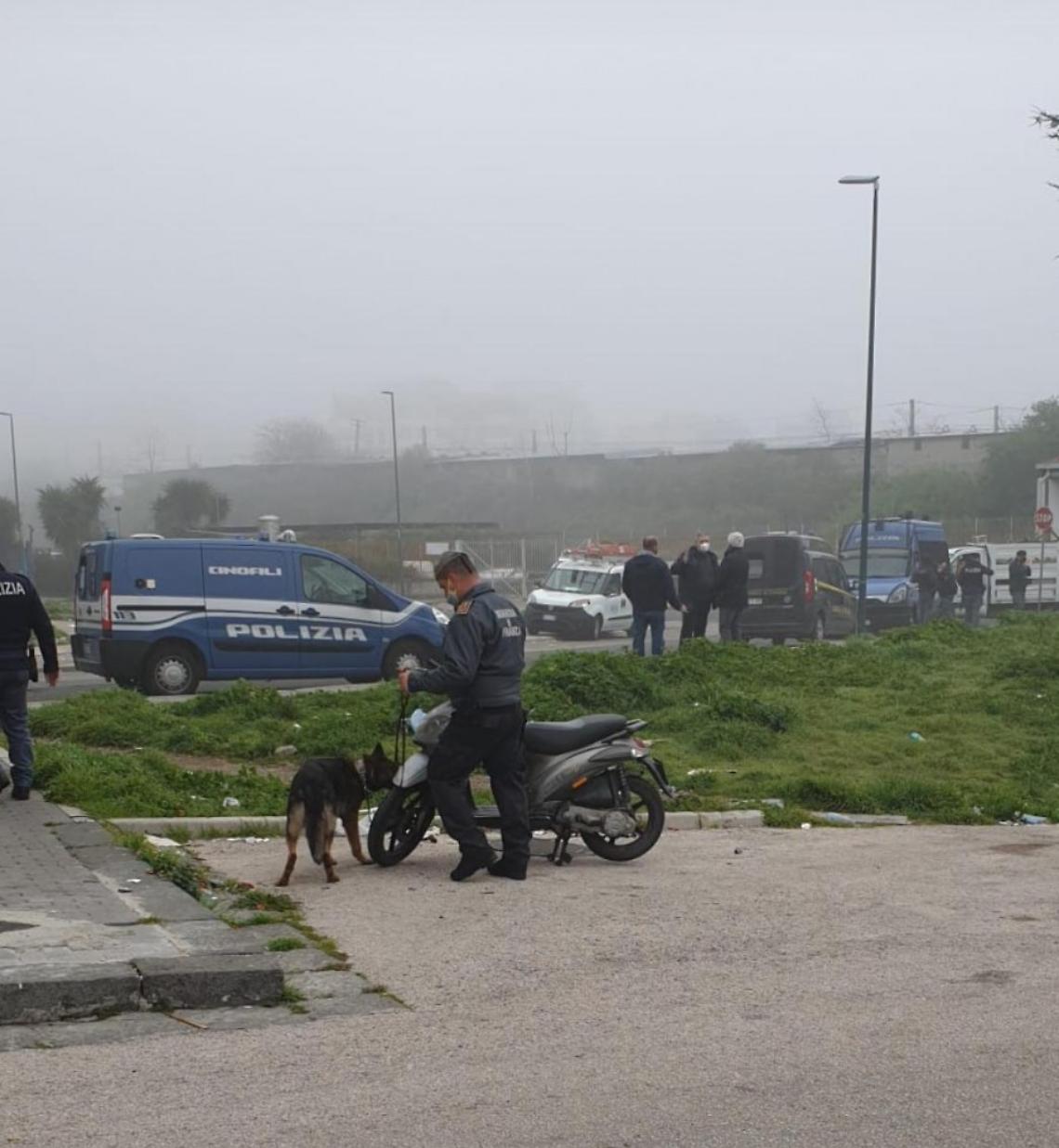 Blitz interforze a Secondigliano, denunce e sequestri