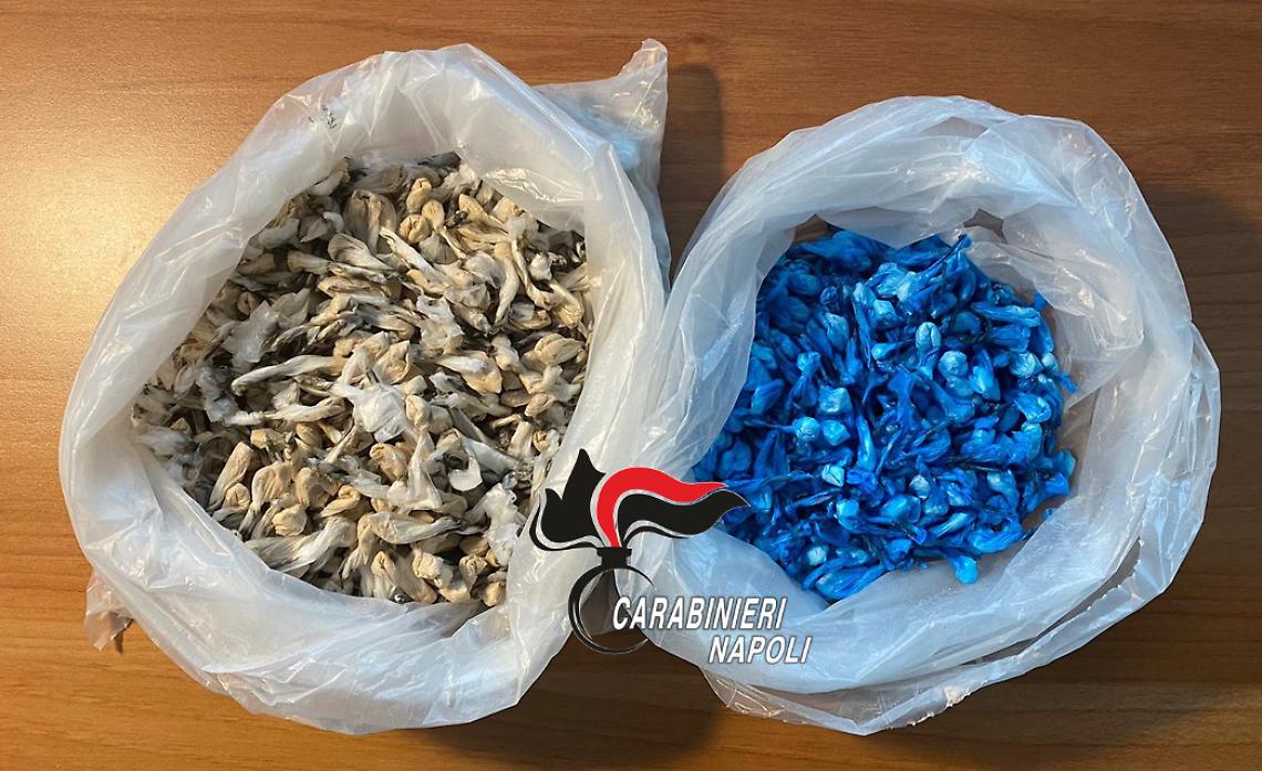 Sequestrate oltre 1000 dosi di droga al Parco Verde di Caivano