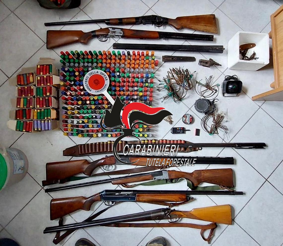 Bracconiere arrestato a Ischia, sequestrate trappole per uccelli