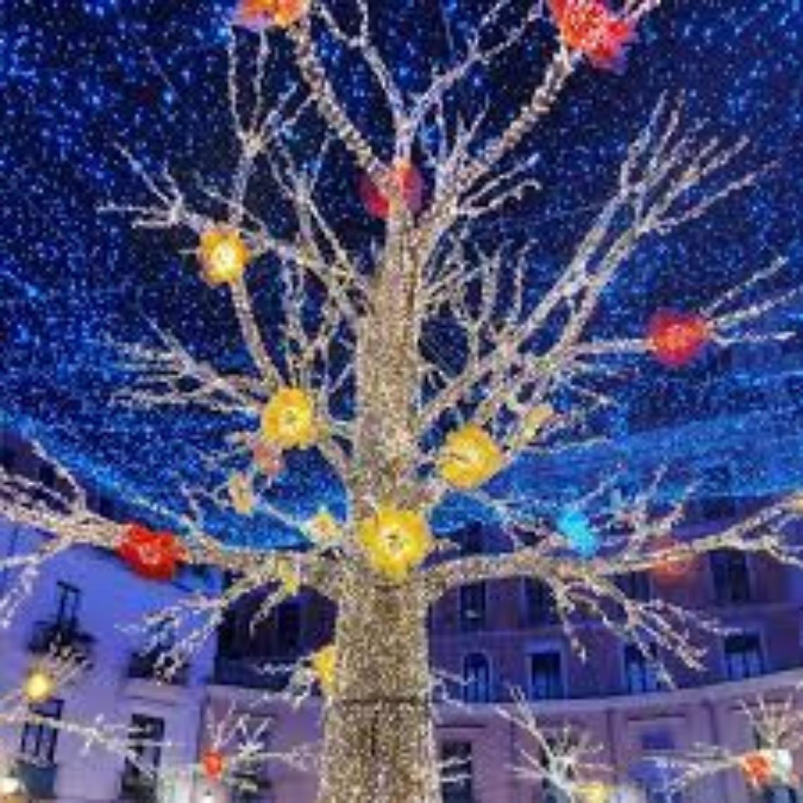 Luci d’artista, due indagati per turbativa d’asta