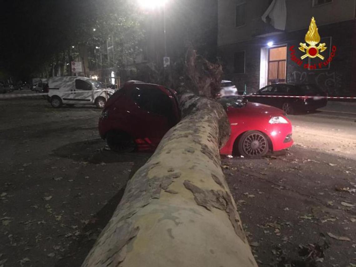 Nubifragio a Milano, alberi caduti e tetti pericolanti