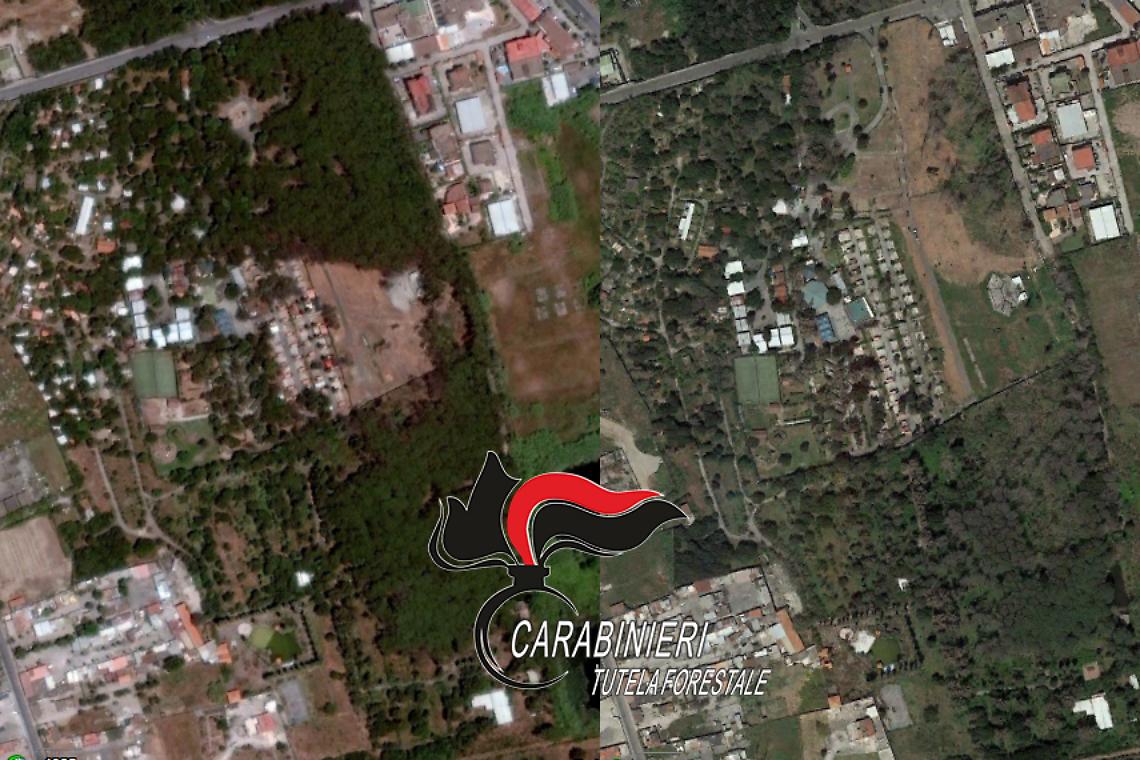 Pineta disboscata, satelliti tradiscono tre imprenditori