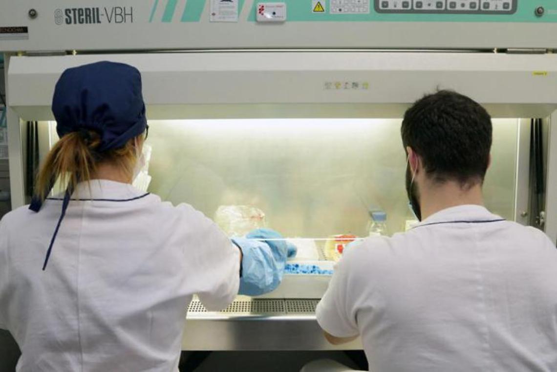 Variante africana covid: sintomi, vaccini, cosa fa l'Italia