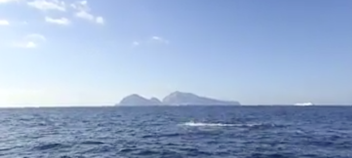  Branco di delfini tra Capri e Punta Campanella VIDEO