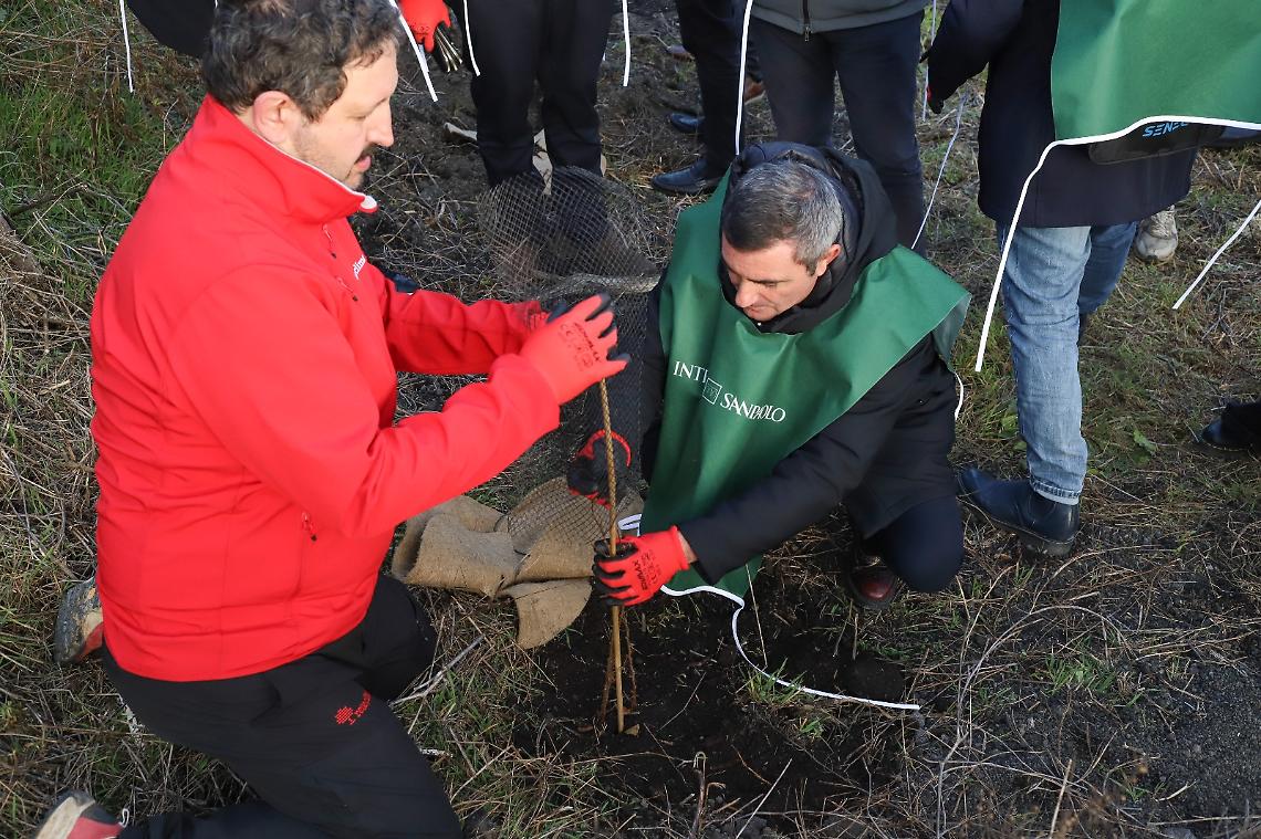 Centoventi nuovi alberi nel Parco Nazionale del Vesuvio