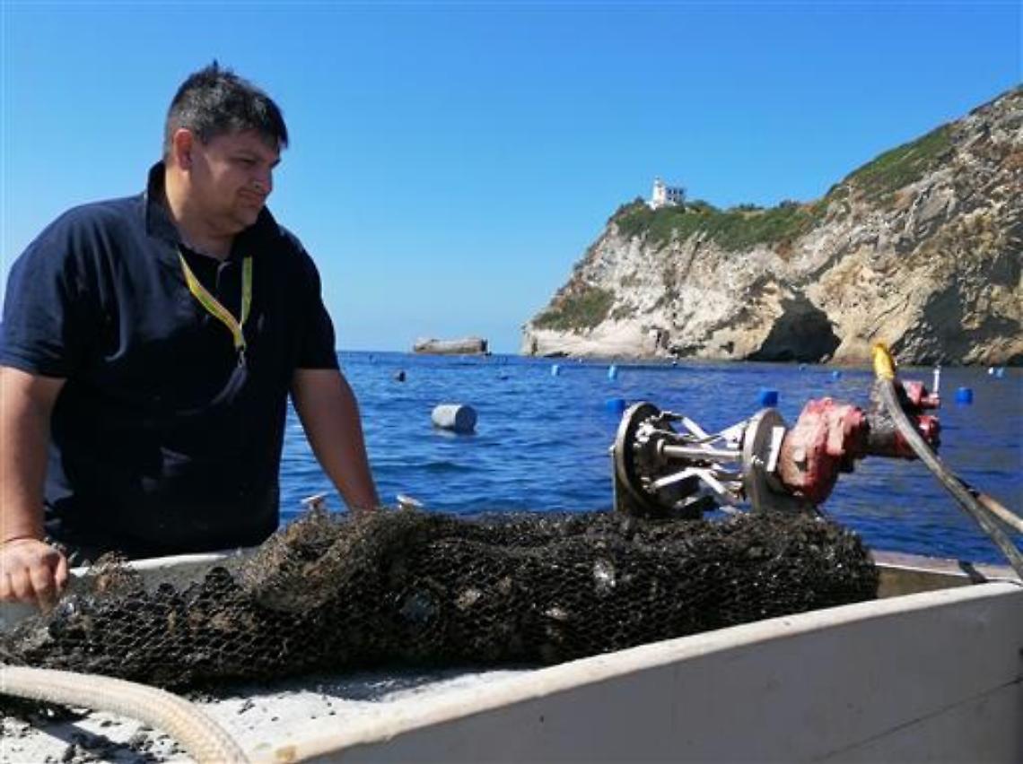 Cozza plastic free, al via le prove in Campania