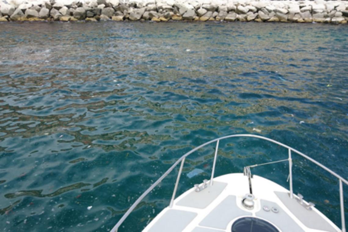 Schiuma nelle acque del Lungomare, Arpac: esiti positivi