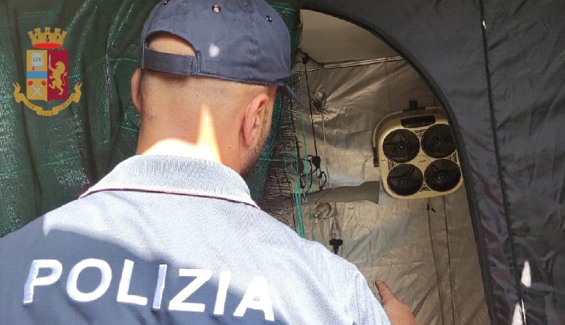 Coltiva canapa indiana nel giardino di casa, denunciato
