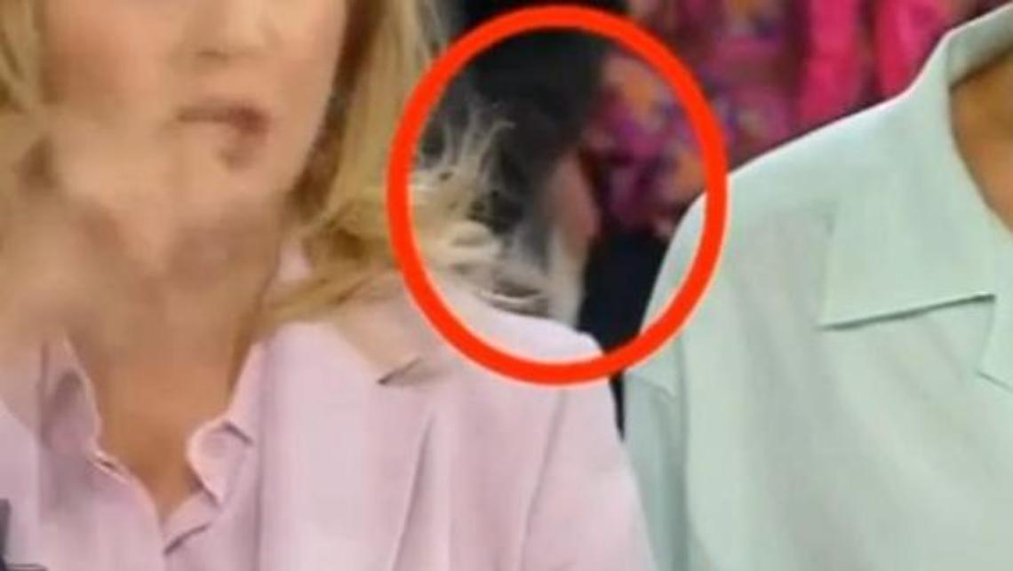 Molestie in diretta tv, la Rai caccia Memo Remigi