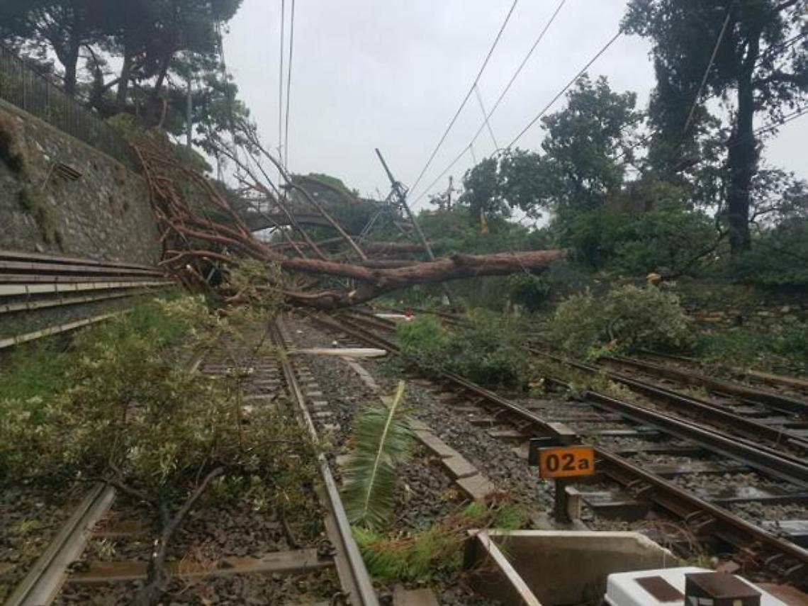 Alberi sui binari, stop ai treni tra Pianura e Licola