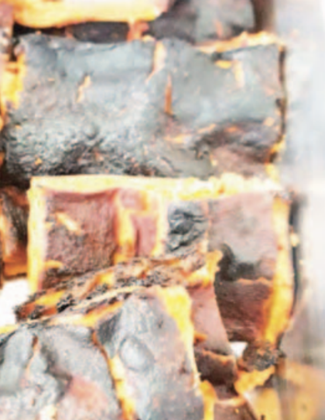 Caso refezione, per pranzo arrivano le lasagne carbonizzate